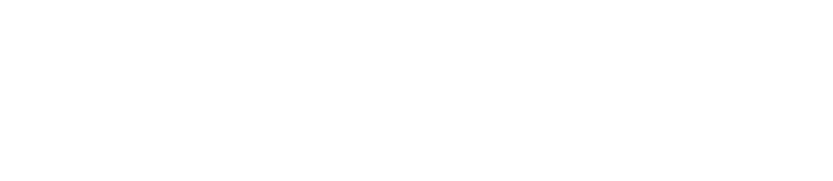 Chiles McGuire Criminal Law
